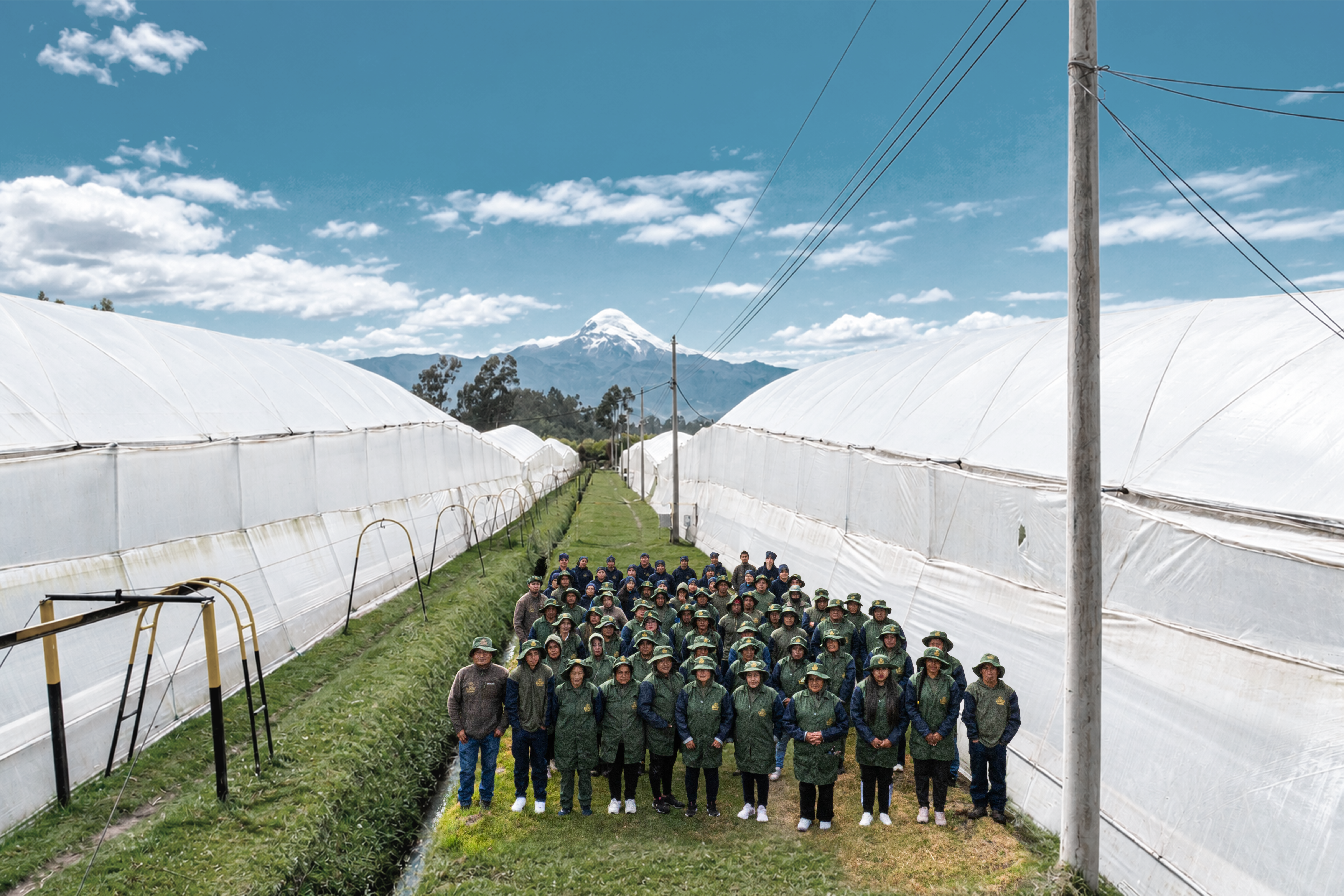 Our greenhouses in Pedro Moncayo, Ecuador